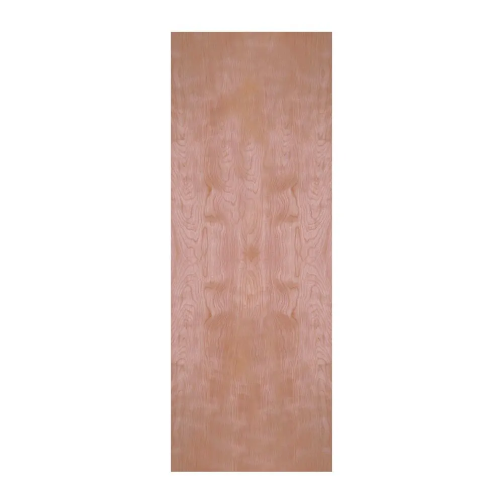 Masonite Flush Birch Solid Core Door interior door