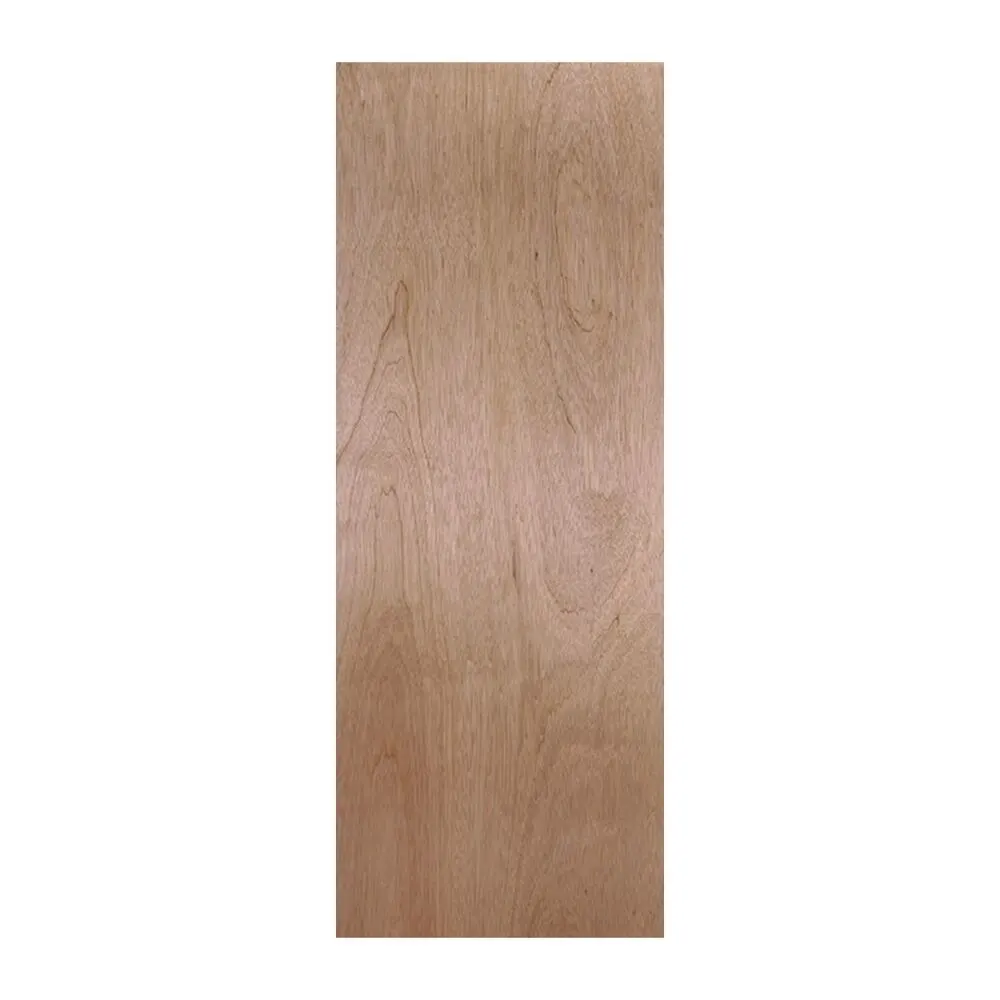 Masonite Lauan Flush Door interior door