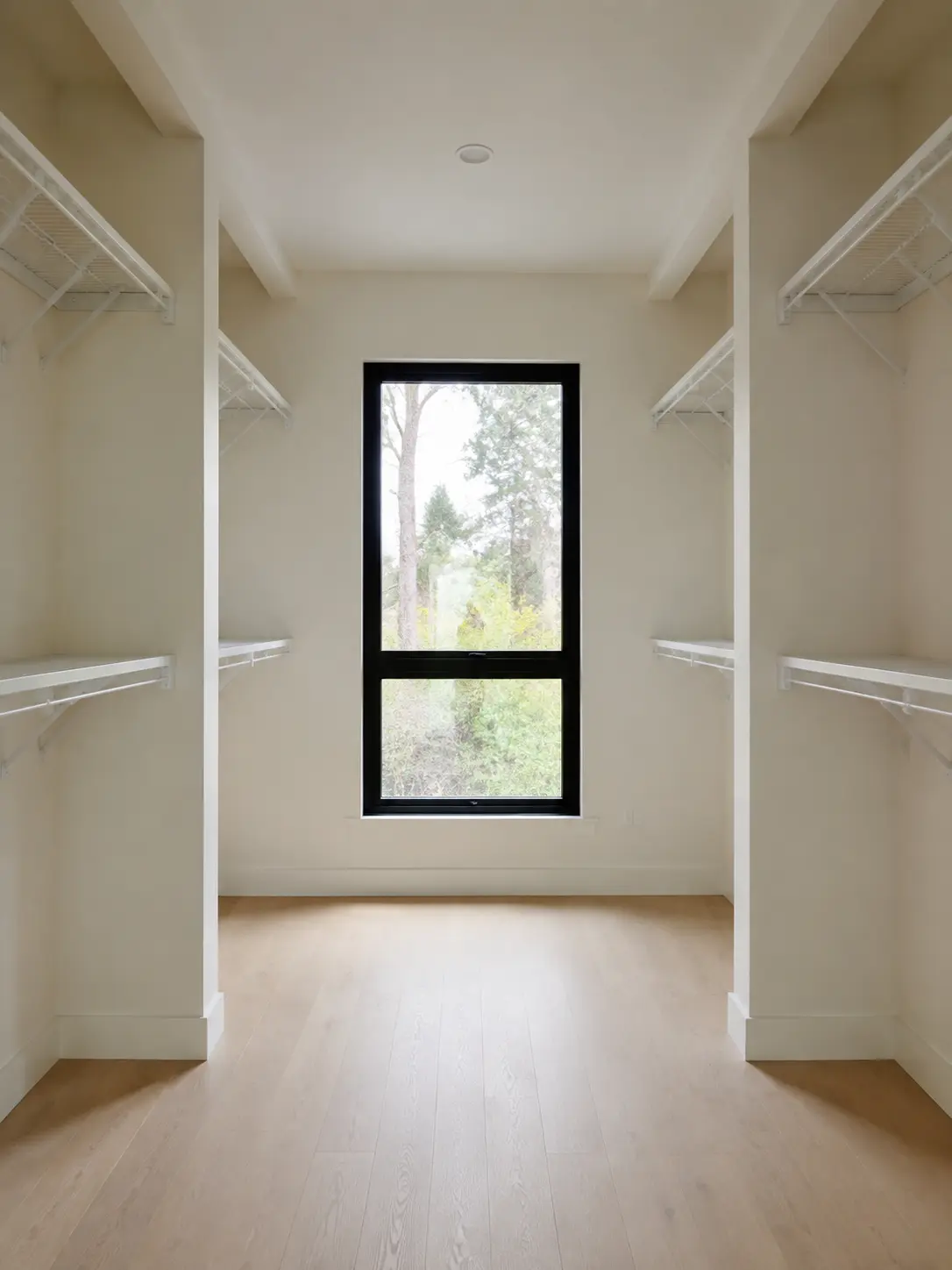 Primary Closet System — before design concept